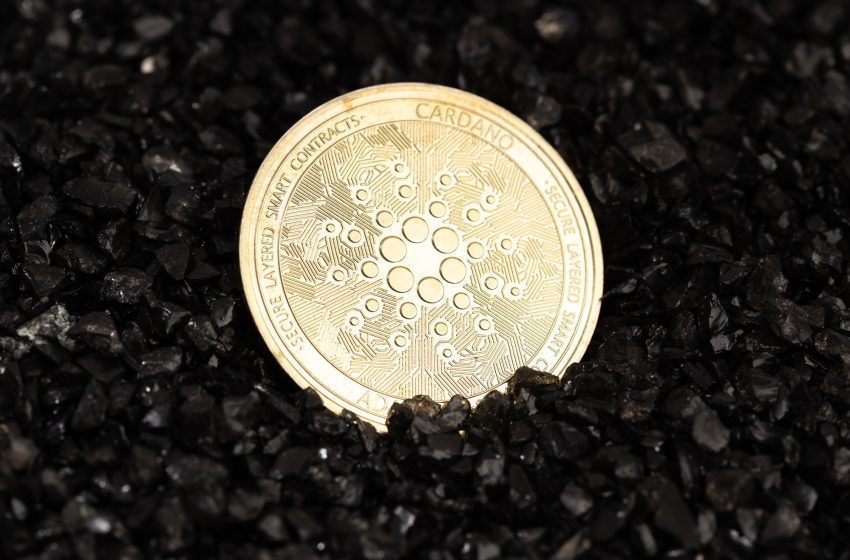  Cardano Cryptocurrency And Why This Maybe The Coin Of The Future